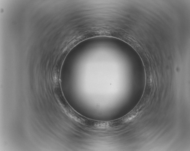 X0000059080084200510281734