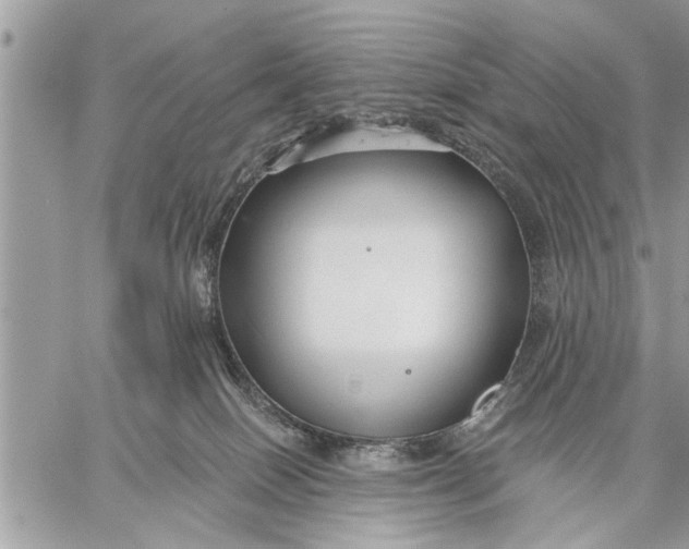 X0000059080086200510281734