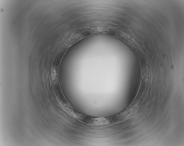 X0000059080087200510281734