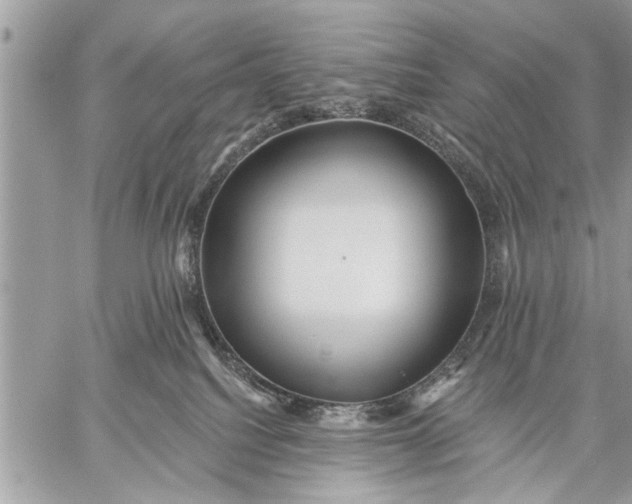 X0000059080088200510281734