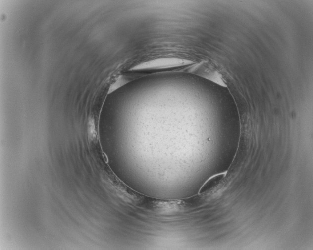 X0000059080089200510281734