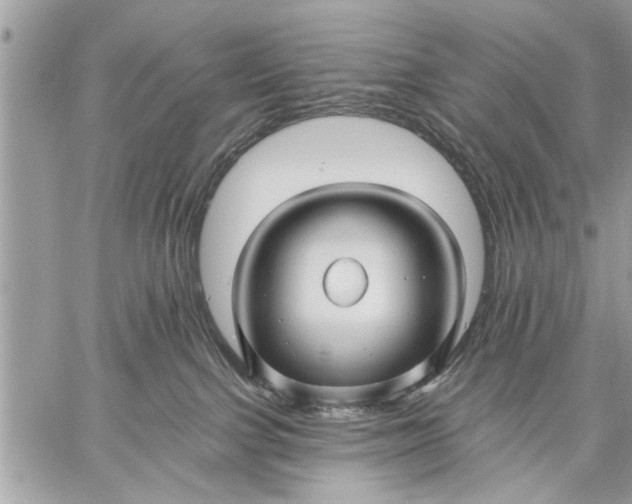 X0000059080091200510281734