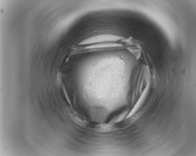 X0000059080093200510281734