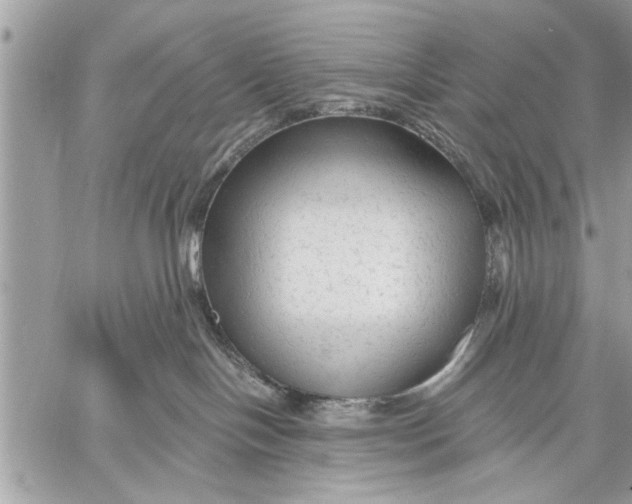 X0000059080094200510281734