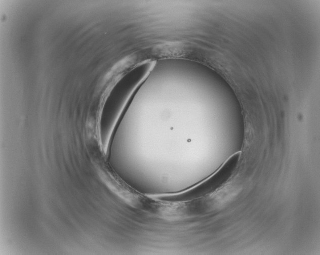 X0000059080096200510281734