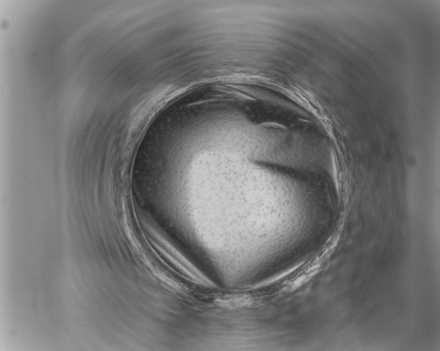 X0000059080097200510281734