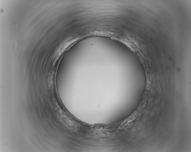 X0000059080098200510281734