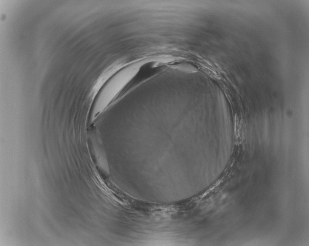 X0000059080099200510281734