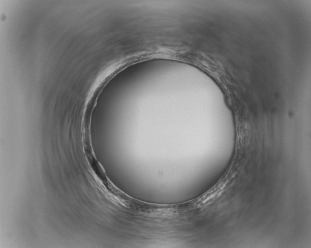 X0000059080102200510281734