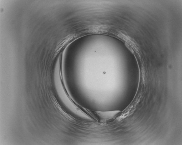 X0000059080105200510281734