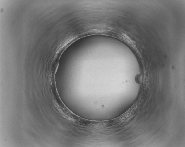 X0000059080106200510281734