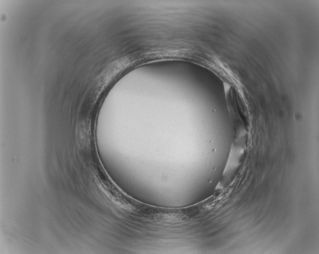 X0000059080107200510281734