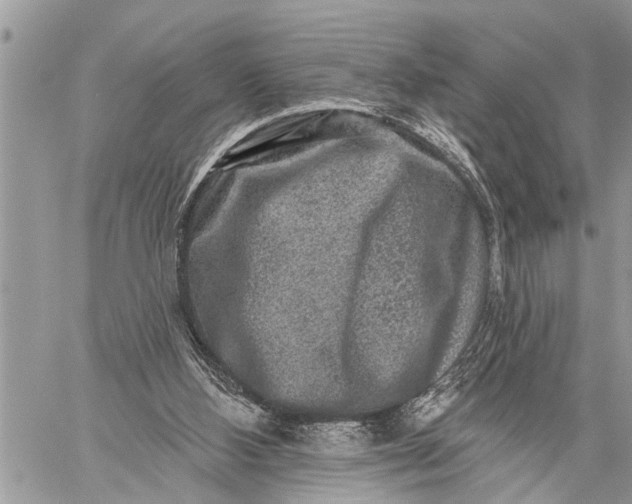 X0000059080108200510281733