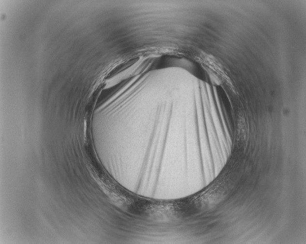 X0000059080110200510281733