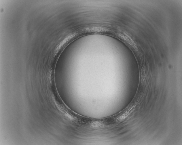 X0000059080111200510281733