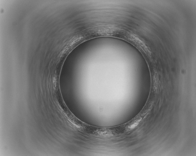 X0000059080113200510281733