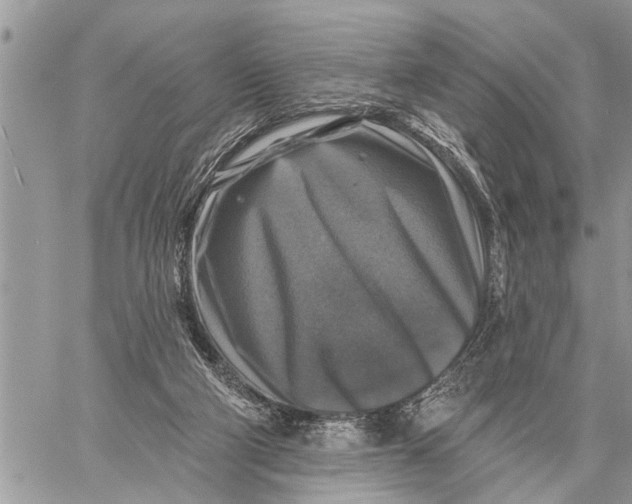 X0000059080114200510281733