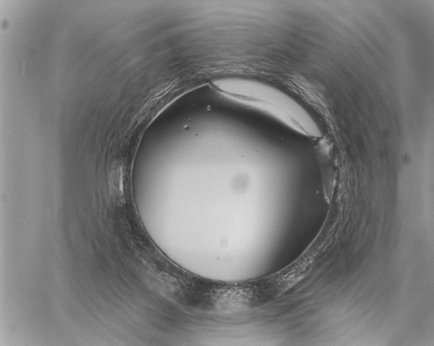 X0000059080115200510281733