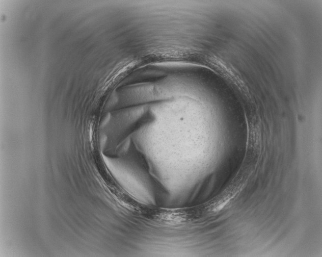 X0000059080117200510281733