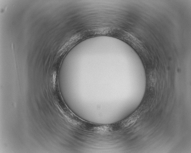 X0000059080118200510281733