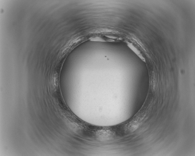 X0000059080119200510281733