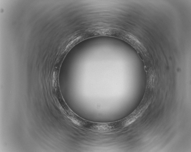 X0000059080121200510281733