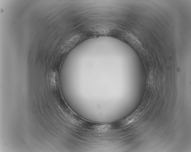 X0000059080122200510281733