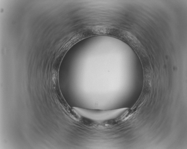 X0000059080125200510281733