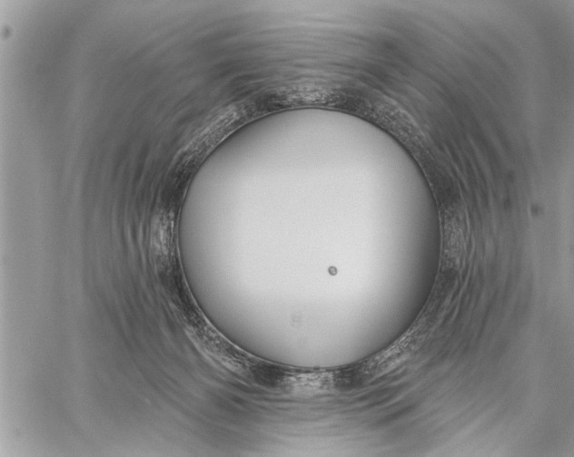 X0000059080126200510281733