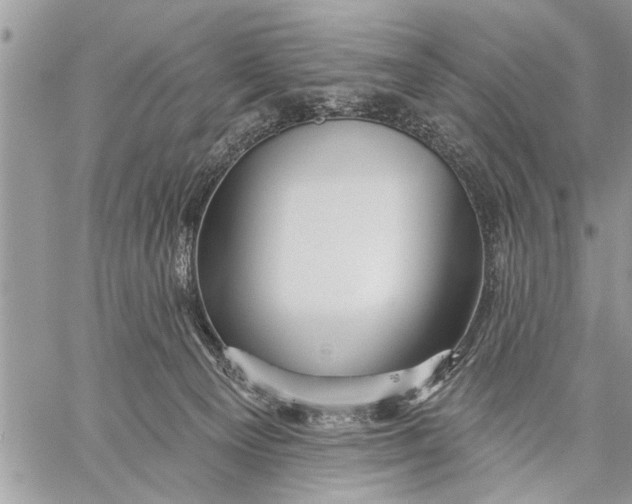 X0000059080129200510281733