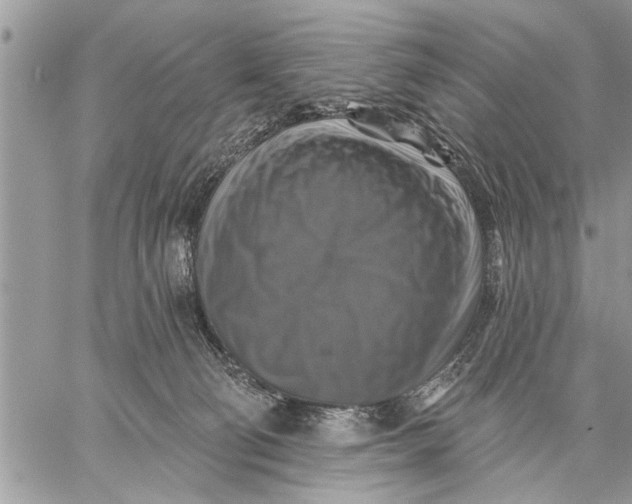 X0000059080130200510281733