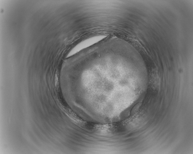 X0000059080131200510281733