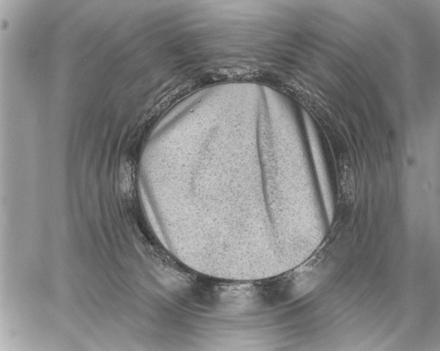 X0000059080132200510281733