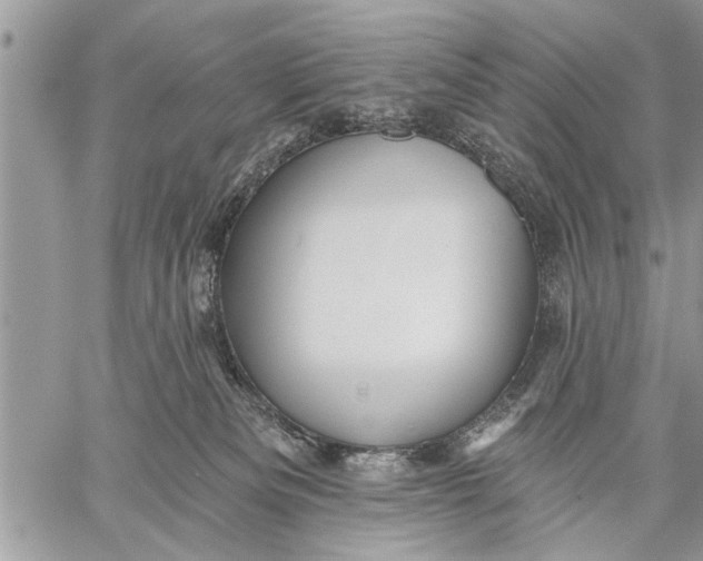 X0000059080133200510281733