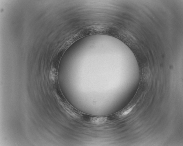 X0000059080135200510281733