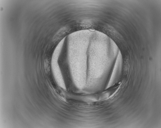 X0000059080136200510281733