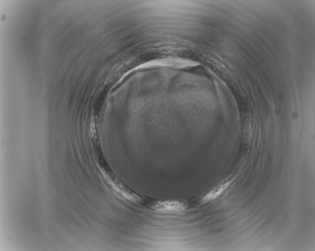 X0000059080137200510281733