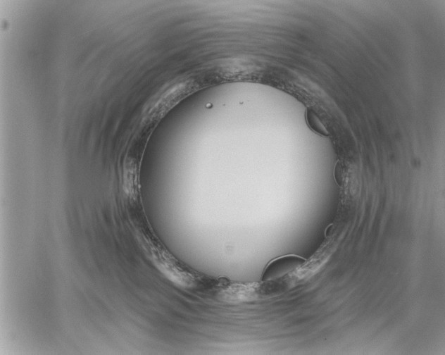 X0000059080138200510281733