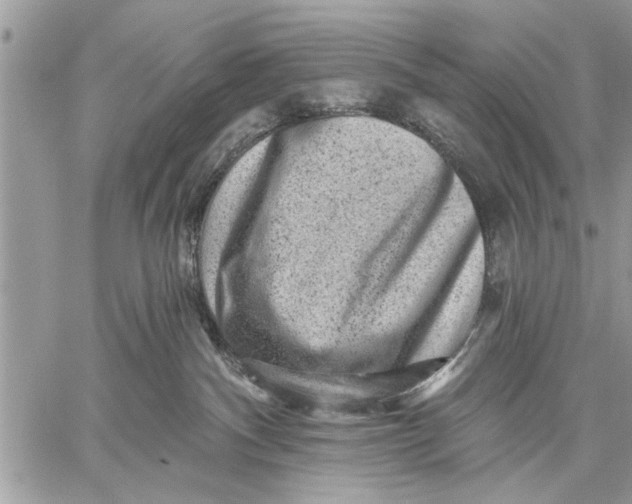 X0000059080140200510281733