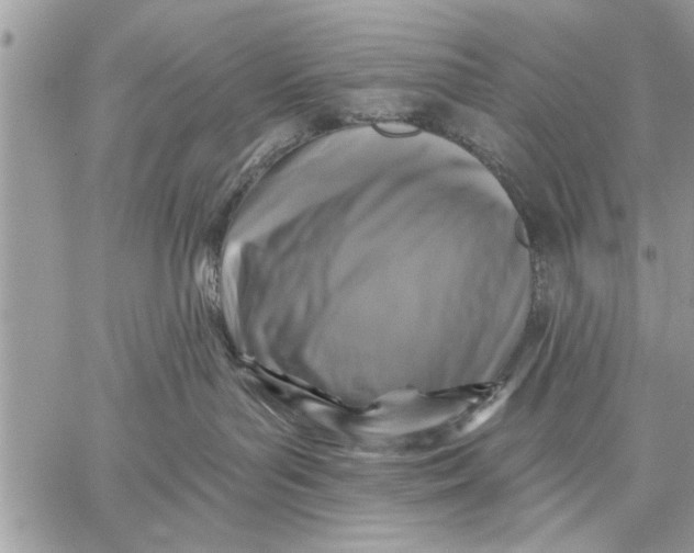 X0000059080143200510281733