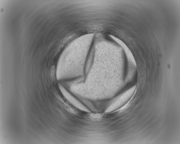 X0000059080144200510281733