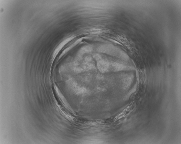 X0000059080147200510281732