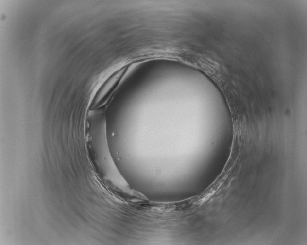 X0000059080148200510281732