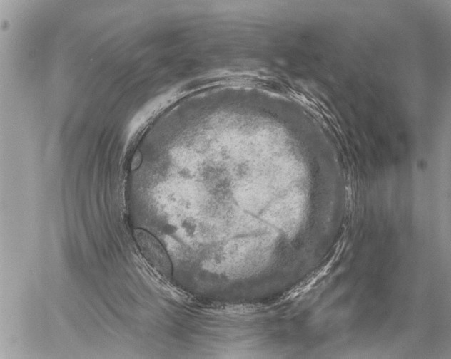 X0000059080149200510281732