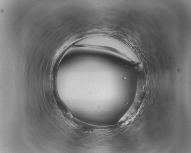 X0000059080150200510281732