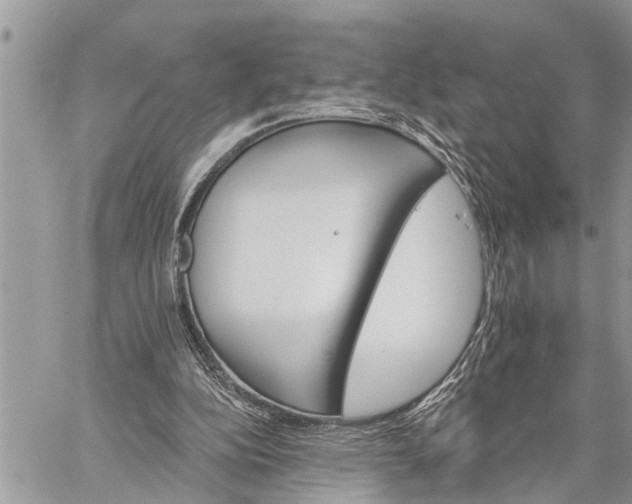 X0000059080152200510281732