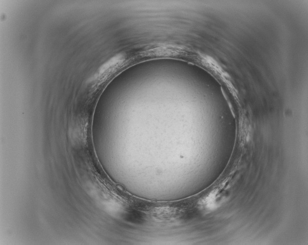 X0000059080153200510281732