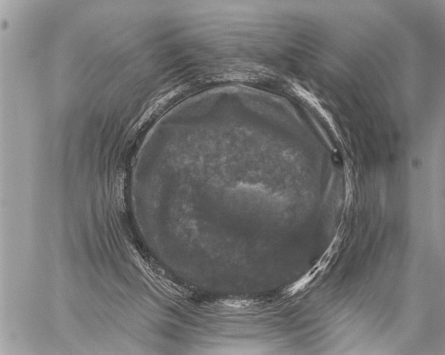 X0000059080154200510281732