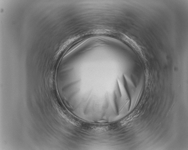 X0000059080155200510281732