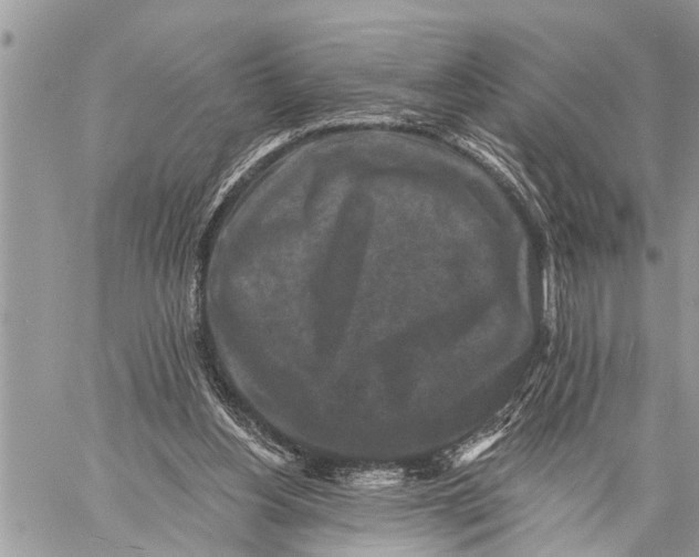 X0000059080156200510281732